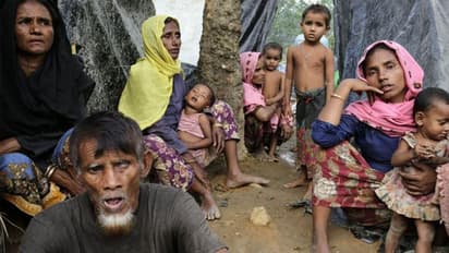 মুসলিমরা একাধিক বিয়ে করুন, দুটির বেশি সন্তান নিতে পারবেন না, বিতর্কিত মন্তব্য সাধ্বী প্রাচীর