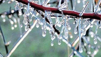 ১২১ বছরের উষ্ণতম জানুয়ারি, ২০২১ সালের প্রথম মাসেই আবহওয়ায় রেকর্ড