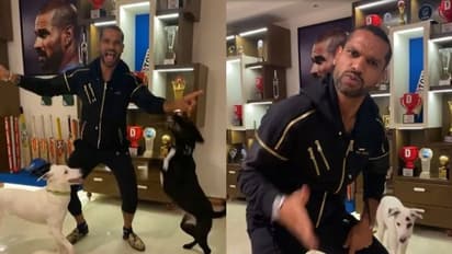 পোষ্যদের সঙ্গে তুমুল নাচ শিখর ধওয়ানের, দেখুন মজাদার সেই ভাইরাল ভিডিও