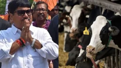 'গরু পাচার করে টাকা নেন ', বিনয় মিশ্র সহ 'ভাইপোর' নাম তুলে আক্রমণ অর্জুনের