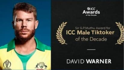 আইসিসির সেরা 'টিকটকার', বছর শেষে সেরা চমক ওয়ার্নারের