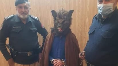 പുതുവത്സര തലേന്ന് ചെന്നായയുടെ മാസ്ക് ധരിച്ചെത്തിയ യുവാവ് അറസ്റ്റില്, നടപടിയെന്തിനെന്ന് ട്വിറ്റര്