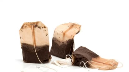 ടീ ബാഗുകൾ ക്യാൻസറിന് കാരണമാകുമോ? വിദഗ്ധർ പറയുന്നത്