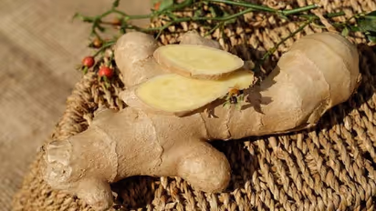 ഇഞ്ചി വീട്ടിനുള്ളില് തന്നെ വളര്ത്തി വിളവെടുക്കാം