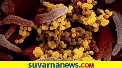 ಬ್ರಿಟನ್ನಿಂದ ಬಂದ ಐವರಿಗೆ ಕೊರೋನಾ: ಇದು ಹೈಸ್ಪೀಡ್ ವೈರಸ್ಸಾ..?