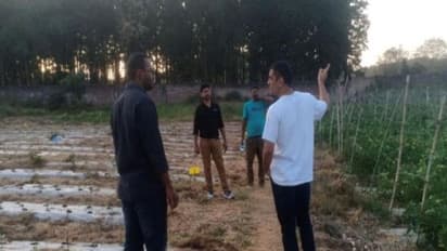 क्रिकेट छोड़ सब्जियां उगाने में व्यस्त हैं धोनी, अब दुबई में भी बिकेंगे रांची के बगान में उगे गोभी-मटर