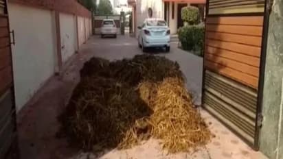 കർഷക സമരത്തിന് പിന്തുണ; പഞ്ചാബിലെ ബിജെപി നേതാവിന്റെ ഗേറ്റിന് മുന്നിൽ ചാണകം തള്ളി പ്രതിഷേധക്കാർ