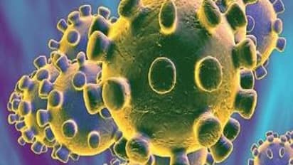 Coronavirus: India records 13,193 new COVID-19 cases; recovery rate at 97.30%