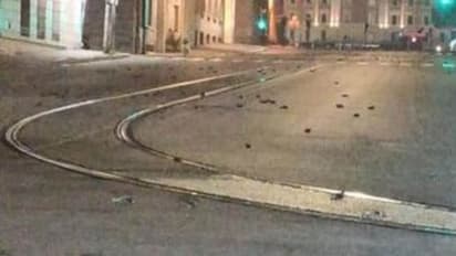 പടക്കംപൊട്ടിച്ച് പുതുവത്സരാഘോഷം, റോമിൽ ചത്തൊടുങ്ങിയത് നൂറ് കണക്കിന് പക്ഷികൾ