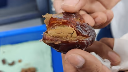 ഈത്തപ്പഴത്തിലും ചോക്ലേറ്റിലും വരെ സ്വർണ്ണക്കടത്ത്; കരിപ്പൂരിൽ തന്ത്രങ്ങൾ പൊളിച്ച് കസ്റ്റംസ്