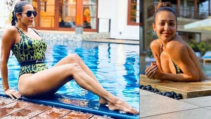 অর্জুনের ক্যামেরার ফোকাসে বিকিনি ক্ল্যাড মালাইকা, Hot পোজে চুঁইয়ে পড়ছে উষ্ণতা