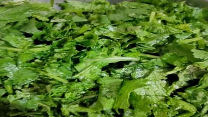 इस तरह बनाएंगे तो चिकन से भी स्वादिष्ट बनेगा सरसों का साग, जीभ भूल जाएंगा नॉन-वेज का स्वाद