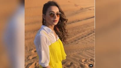 'সাংসদ হয়ে মানুষের সেবা না করে মহানন্দে দুবাই ঘুরছেন', মিমিকে বিদেশভ্রমণে কটাক্ষ