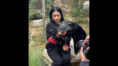 Yuzvendra Chahal's wife, Dhanashree Verma gets candid with her furry baby (See pictures)