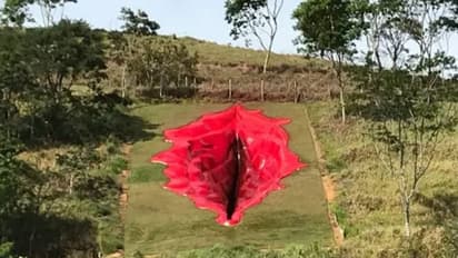 കൂറ്റൻ യോനീശിൽപം, ബ്രസീലിൽ പ്രസിഡണ്ട് അനുകൂലികളും ഇടത് കലാകാരന്മാരും തമ്മിൽ വാക്പോര്