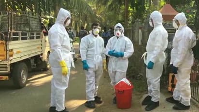 ভারতের ৫ রাজ্যে বার্ড ফ্লু-র সতর্কতা, এক মহামারির মধ্যে উদ্বেগ বাড়ালো আরও এক ভাইরাস