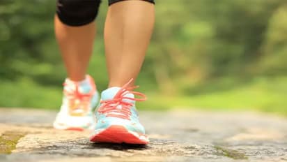రోజుకి పదివేల అడుగులు వేస్తే ఏం జరుగుతుందో తెలుసా..?