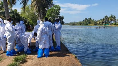 പക്ഷിപ്പനി: 10 ദിവസം കര്ശന നിരീക്ഷണം, ധനസഹായം പ്രഖ്യാപിച്ച് സര്ക്കാര്, അപര്യാപ്തമെന്ന് കര്ഷകര്