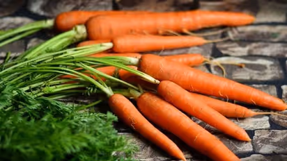 കാരറ്റിനെ ബാധിക്കുന്ന അസുഖങ്ങള്‍ തിരിച്ചറിയാം; ഇലകളില്‍ കാണപ്പെടുന്ന മാറ്റങ്ങള്‍ മനസിലാക്കാം