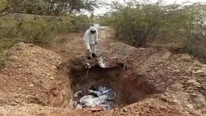 बर्ड फ्लू फैलने पर चिकन-अंडा खाना कितना सुरक्षित? इस तरह खाएंगे तो छू भी नहीं पाएगा वायरस