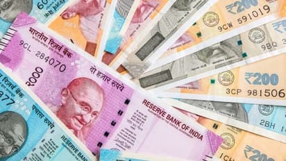 2021 ഐപിഒകളുടേതാകും: ഒരു ഡസനോളം സ്റ്റാർട്ടപ്പുകൾ യൂണികോണുകളായി; നിക്ഷേപ നേട്ടത്തിൽ മുന്നിൽ സൊമാറ്റോ