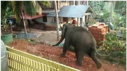 അക്രമകാരികളായ വന്യജീവികളെ നേരിടുന്നതിൽ പഞ്ചായത്തുകൾക്ക് തീരുമാനമെടുക്കാം: കേന്ദ്രം