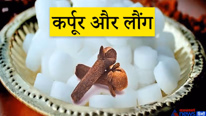 घर में अलग-अलग चीजों की धूनी देने से आपको क्या फायदा हो सकता है, जानिए