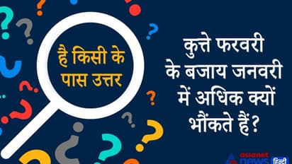 कहते हैं कि जो डॉग्स भौंकते बहुत हैं, वे काटते नहीं, लेकिन ये फरवरी में कम भौंकते हैं, इस सवाल का जवाब है?