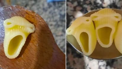 ട്വിറ്ററില് താരമായി നിലവിളിക്കുന്ന പാസ്തക്കൂട്ടം! സംഗതി എന്തെന്ന് മനസിലായോ?