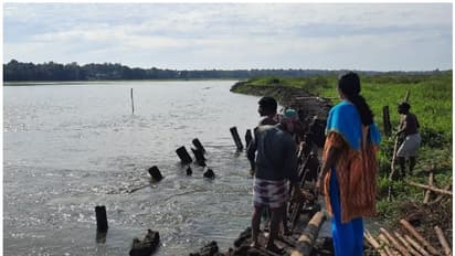 കിഴക്കൻ വെള്ളത്തിന്റെ വരവില് ചെന്നിത്തലയിലെ പാടങ്ങളിൽ മടവീഴ്ച്ച
