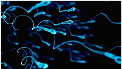 പുരുഷന്മാരുടെ ശ്രദ്ധയ്ക്ക്; ഈ നാല് ഭക്ഷണങ്ങൾ 'സ്പേം കൗണ്ട്' കുറയ്ക്കും