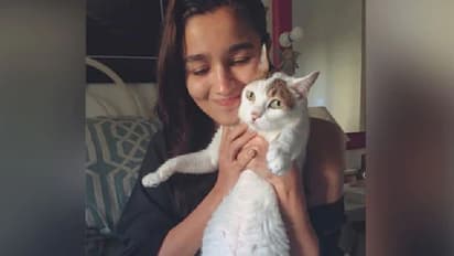 പ്രിയപ്പെട്ട പൂച്ചയുടെ വേര്‍പാട്; വേദന പങ്കിട്ട് ആലിയ ഭട്ട്