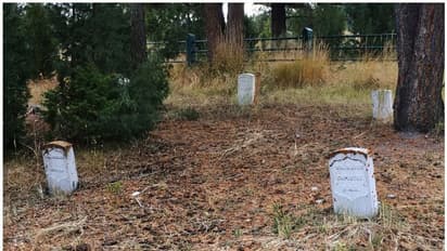 അതി​ഗൂഢമായ നിധി കണ്ടെത്താനുള്ള ശ്രമത്തിനിടെ സെമിത്തേരി കുഴിച്ചു, നിധിവേട്ടക്കാരന് 12 വർഷം തടവ് ശിക്ഷ