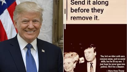 क्या ट्रंप की मां ने बेटे को बताया 'बेवकूफ'? जानिए क्या है दावे की सच्चाई