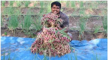 വേണമെങ്കില് ഉള്ളി പഞ്ചാരമണലിലും; നേട്ടം കൊയ്ത് യുവ കര്ഷകന്