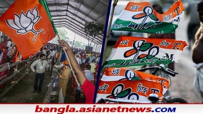 সাগরদিঘীতে অশনি সংকেত, 'হাত' আর 'পদ্ম' কাঁটায় ছিন্ন হওয়ার আশঙ্কায় জোড়া ফুল