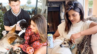 Priyanka Chopra mother of 3 furry babies shares her reason for loving dogs