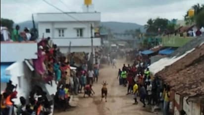 ಜಲ್ಲಿಕಟ್ಟು ತಂದ ಆಪತ್ತು: 3 ಸಾವು, 30ಕ್ಕೂ ಹೆಚ್ಚು ಜನರಿಗೆ ಗಾಯ..!