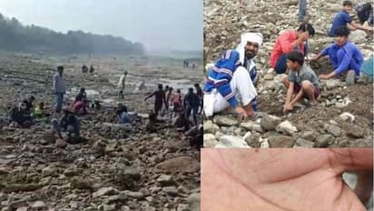 इस नदी से निकल रहे सोने-चांदी के सिक्के? ऐसी खबर पर पूरे घाट पर हो रही खुदाई