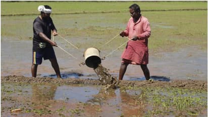 മഴ ദുരിതത്തിലാക്കി; വെള്ളം തേകിയും, ചക്രം ചവിട്ടിയും വയല് സംരക്ഷിക്കാന് പാടുപെട്ട് കര്ഷകര്