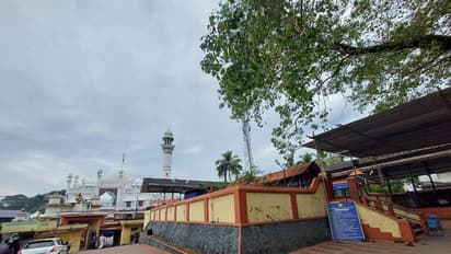 അയ്യപ്പ  തിന്തകത്തോം , സ്വാമി തിന്തകത്തോം...; എരുമേലി പേട്ടതുള്ളി കന്നി അയ്യപ്പന്മാര്‍