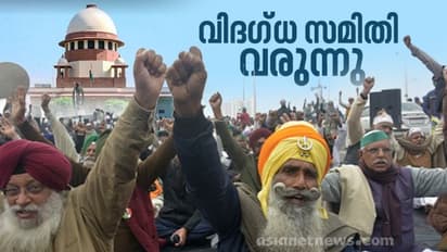 കാര്ഷിക നിയമ ഭേദഗതി:വിദഗ്ധ സമിതിയെന്ന സുപ്രീംകോടതി നിര്ദേശം അംഗീകരിച്ച് കേന്ദ്ര സര്ക്കാര്