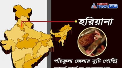 দেখে নিন রাজ্য-সহ দেশের বিভিন্ন অঞ্চলে বার্ড ফ্লু লেটেস্ট আপডেট