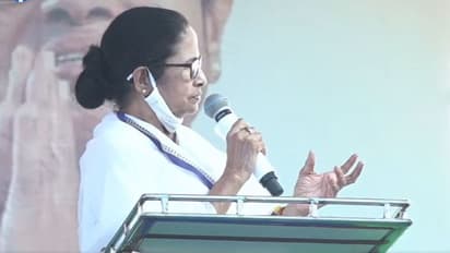 'দিল্লি থেকে এলেন বাবু,  কৃষক বাড়ি ভাড়া করে', দিল্লির কৃষক আন্দোলন নিয়ে বিজেপিকে খোঁচা মমতার