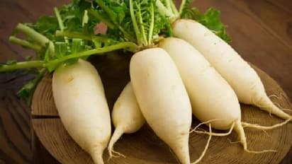 ಮೂಲಂಗಿ ತಿಂದು ಹಾಲು ಕುಡಿತೀರಾ? ಆ ತಪ್ಪು ಮಾಡ್ಲೇ ಬೇಡಿ