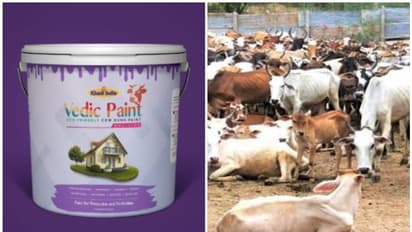 ലോഞ്ചിനൊരുങ്ങി ചാണകത്തില് നിന്നുള്ള പെയിന്റ്; വിഷമുക്തമെന്ന് നിതിന് ഗഡ്കരി