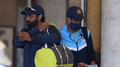 రవీంద్ర జడేజాని విష్ చేయడానికి బయటికొచ్చిన స్పెషల్ గెస్ట్... బెంగాల్ టైగర్ వీడియోను...