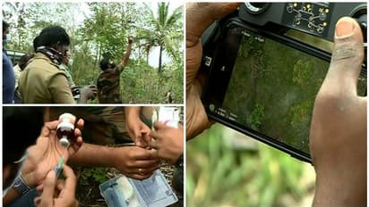 മയക്കുവെടി വെച്ചതിന് പിന്നാലെ കടുവ വീണ്ടും ആക്രമിച്ചു; വാച്ചര്ക്ക് പരിക്ക്