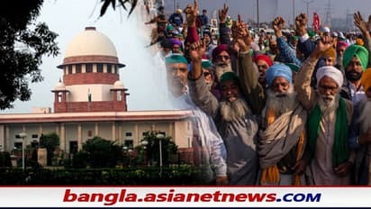 কৃষি আইনে স্থগিতাদেশ, ৪ সদস্যের কমিটি গড়ল সুপ্রিম কোর্ট - বড় জয় পেল কৃষকরা