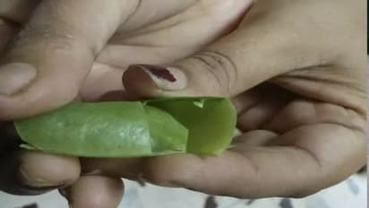 भूल से भी ना फेंके मटर के छिलके, दाने निकालने के बाद हरी फलियों से बनाएं स्वादिष्ट पकौड़ियां